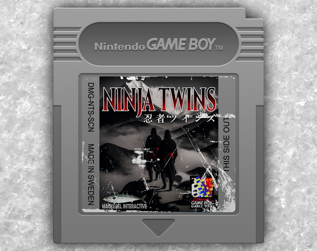 Ninja Twins cover art