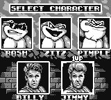 battletoads-double-dragon-3.png